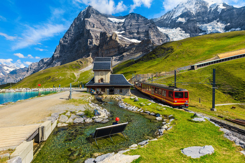 Privatchaufför från Zürich till Jungfraujoch, Bern och tillbaka