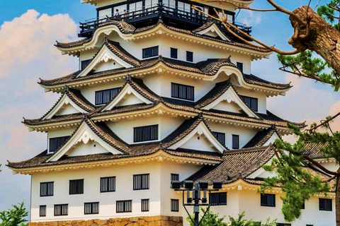 Kyoto osaka dagsutflykt med engelsktalande person och Nara