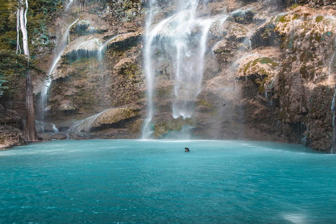 Walvishaai in Oslob, Tumalog-watervallen, Kawasan-watervallen, lunch (PRIVÉ)Oslob walvishaai, Tumalog-watervallen, Kawasan-watervallen, lunch PRIVÉ