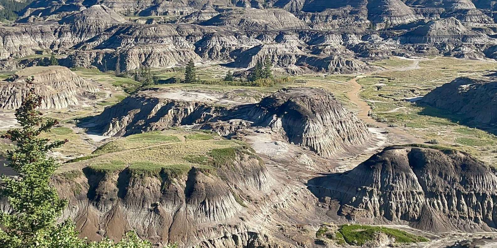 Canadian Badlands Private Tour | GetYourGuide