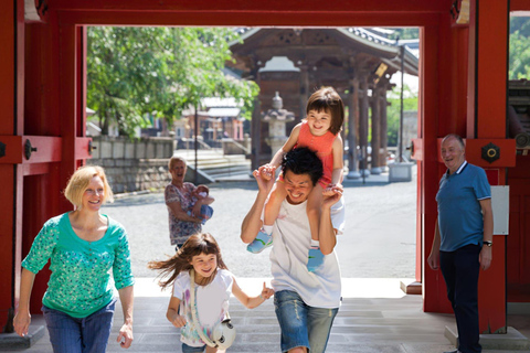 Best of Kyoto: Guided Full Day or Half-Day Tour with a Local Private: Guided Full Day Tour with a local