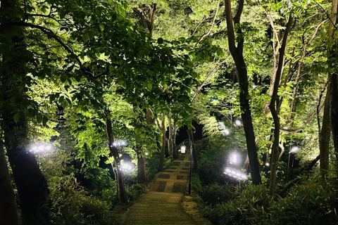 Hangzhou : Private Night Baoshi Mountain Guided Tour