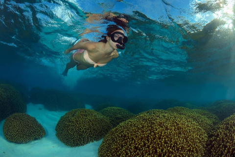 Hurghada: Excursión en barco a la Casa de los Delfines con snorkel
