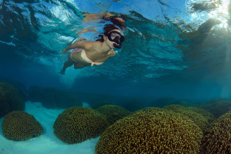Hurghada: Excursión en barco a la Casa de los Delfines con snorkel