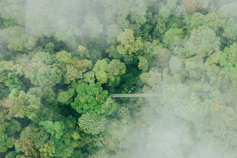 Walk on the hanging bridges of Selvatura Park Hike on the hanging bridges of Selvatura Park