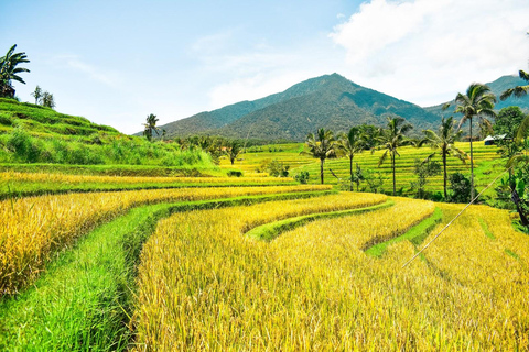 Bali: Tour privato dell&#039;Isola del Nord con cascata BanyumalaTour senza tasse d&#039;ingresso