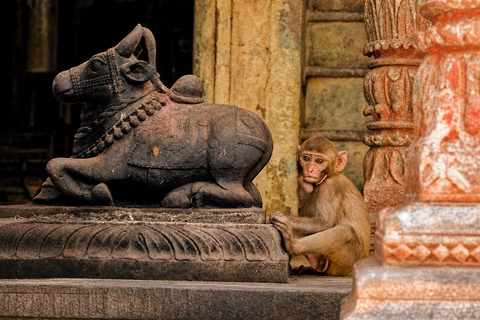 Varanasi: Old City Life Along the Ganges Riverfront
