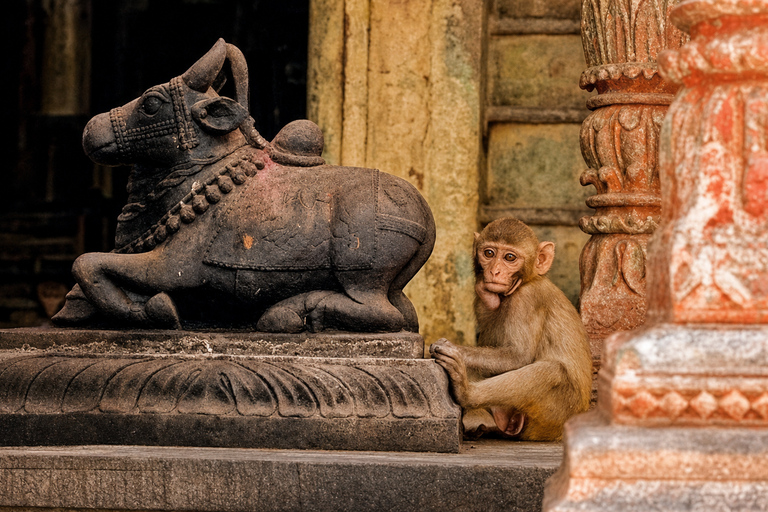 Varanasi: Old City Life Along the Ganges Riverfront
