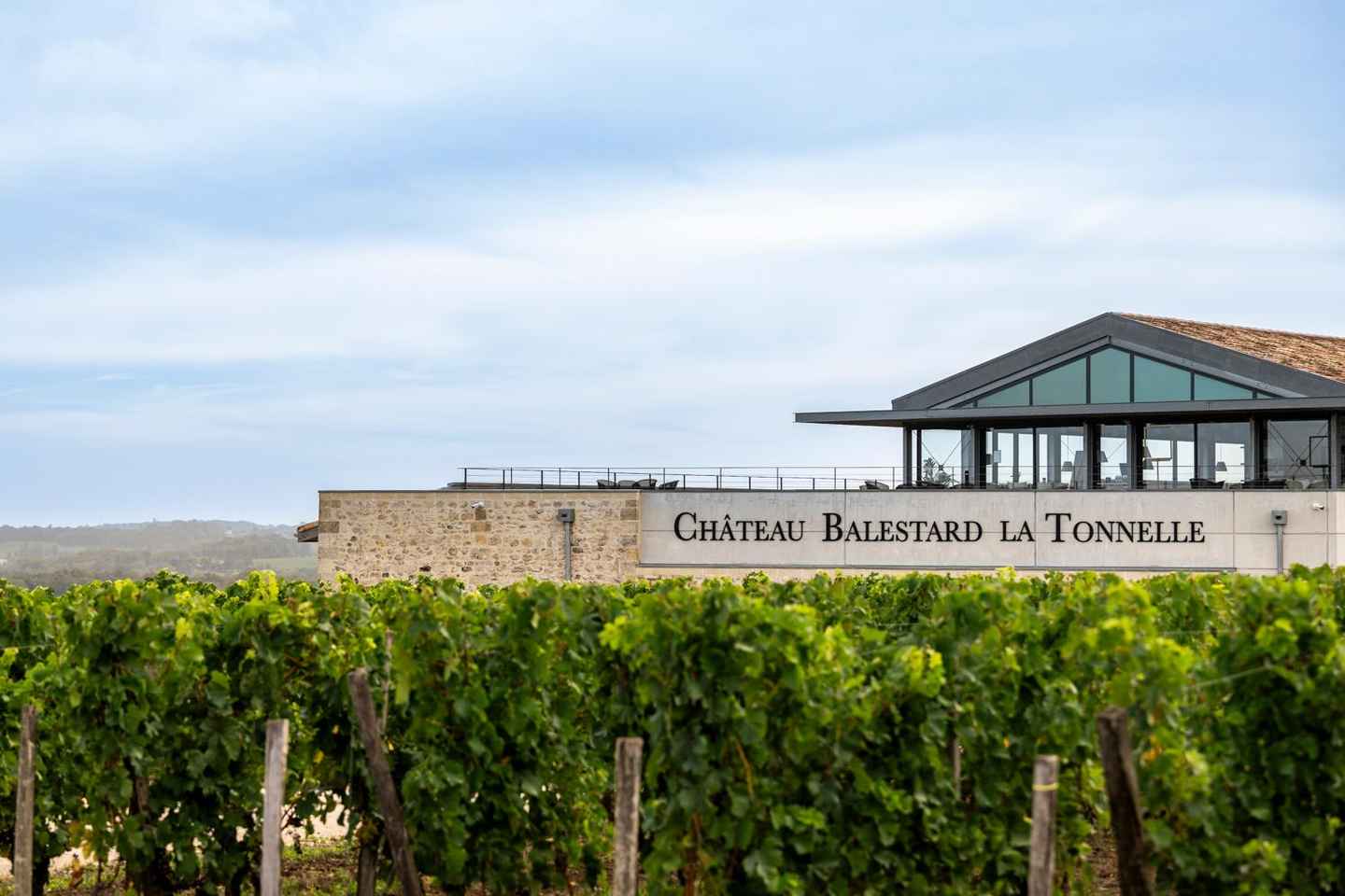 Full-day Saint-Emilion: Village, Undergrounds and Châteaux