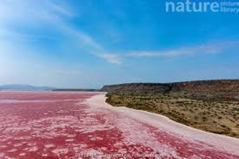From Nairobi: Lake Magadi 2-Day Trip with Game Drive & Hike