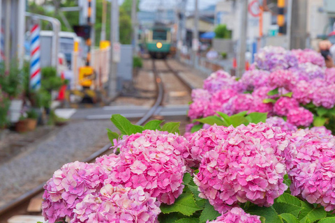 Dagstur till Kamakura Buddha, Enoshima, helgedom från TokyoUpphämtning på Tokyo station kl. 8.00