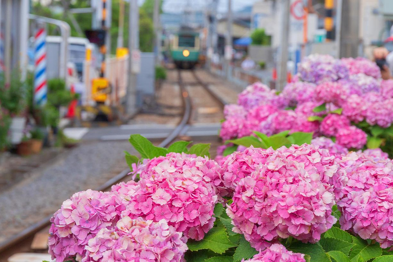 Tour de 1 dia pelo Buda de Kamakura, Enoshima, santuário saindo de TóquioVocê será buscado na estação de Shinjuku às 8h30