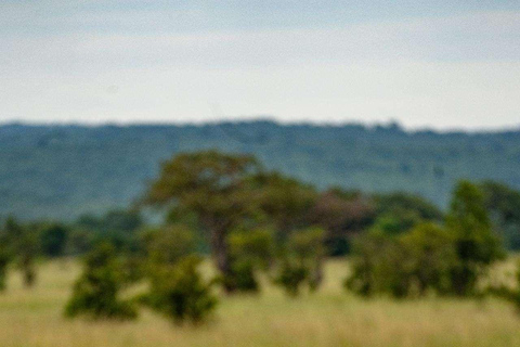 From Zanzibar: Mikumi Safari Day Trip with Flights and Lunch Mikumi Shared Safari without hotel transfer