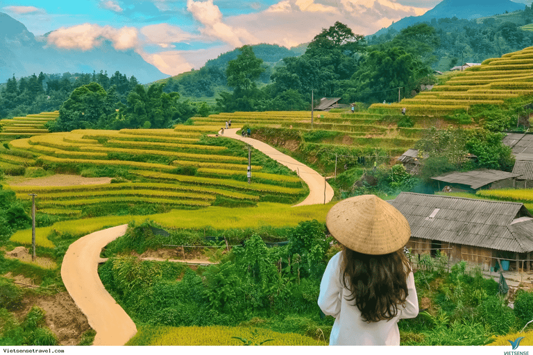 From Hanoi: Visit Sapa 3 Days & See The Terraced Fields Group Tour With A 4-Star Hotel