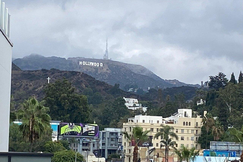 Los Angeles: Stadsvandring från kryssningshamnen