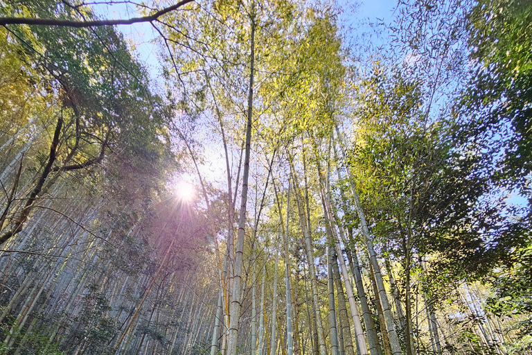 Kyoto: Customed Bike Tour