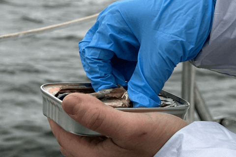 马里纳德尔雷：1小时游船之旅玛丽娜德尔雷：1小时游船之旅