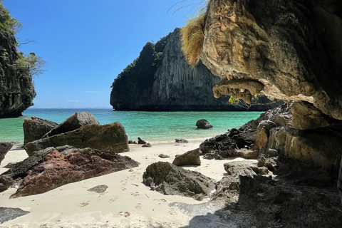 Desde Phi Phi Maya Bay Tour en barco de cola larga con snorkel