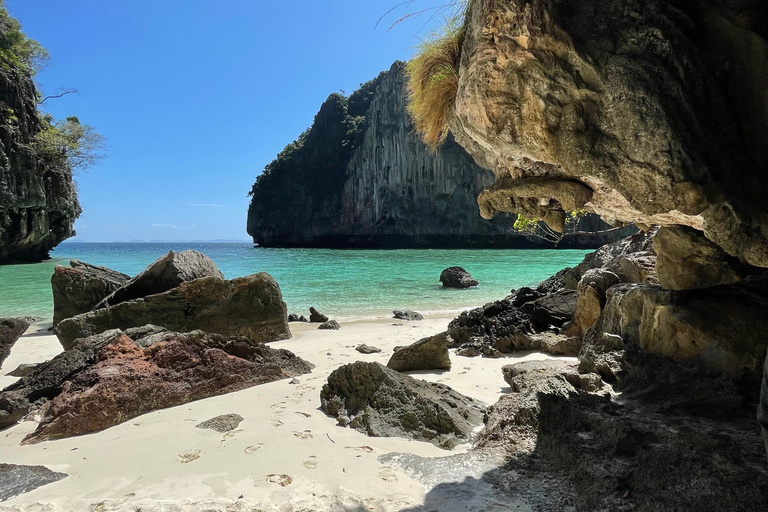 Desde Phi Phi Maya Bay Tour en barco de cola larga con snorkel