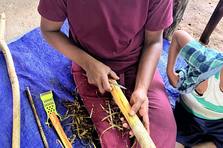 Ella: Zimt, Gewürzgarten &amp; Wasserfall-Tour