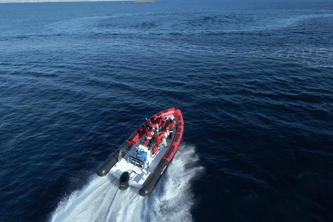 Palma de Mallorca: Sightseeing Speedboat Tour mit AbholungStandard Sitze