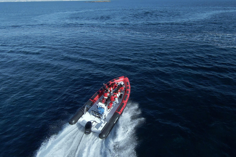 Palma di Maiorca: tour panoramico in motoscafo con pickupSedili standard