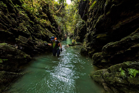Hanoi: Yen Phu Pagoda, Wetland or Trang An, Mua Cave, Hoa Lu Private Tour : Yen Phu Pagoda and Van Long Wetland Day Tour