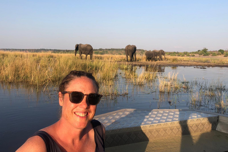 Full Day Chobe Trip From Livingstone Town Zambia