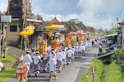 Ubud: downhill fietsen met vulkaan, rijstterrassen en maaltijd