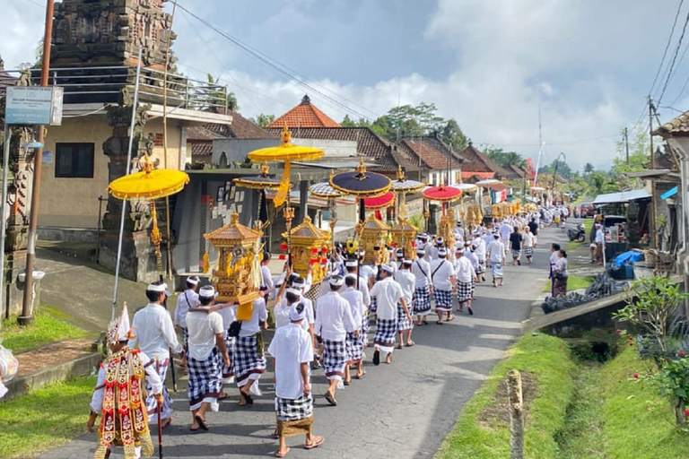 Ubud: Discesa in bicicletta con vulcano, terrazze di riso e pasto