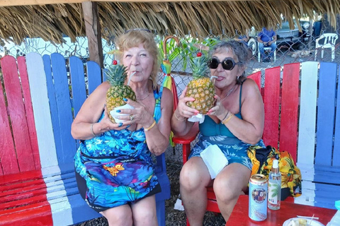 Puerto Plata: Countryside tour with Monkey Home, butterflies, and coffee