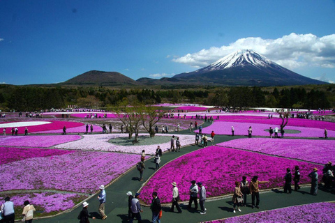 Berg Fuji und Hakone Ganztagestour private Tour