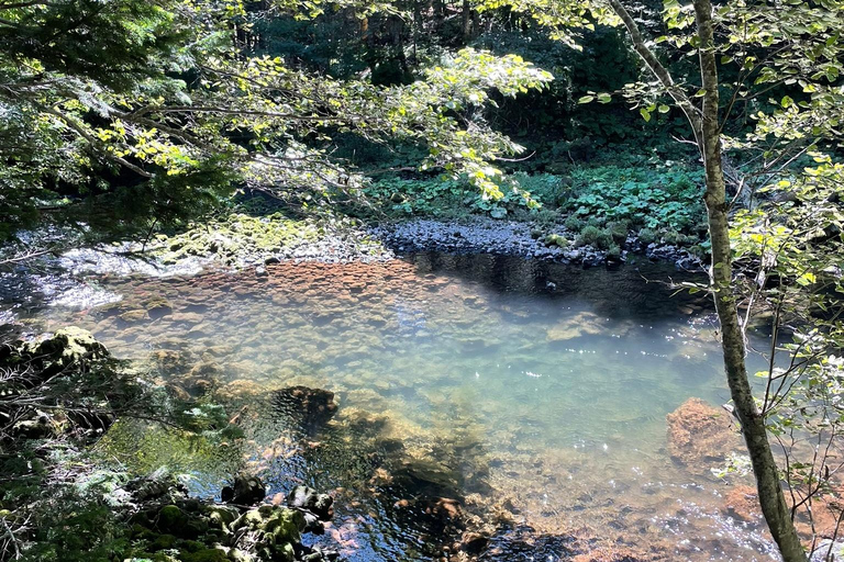 Hokkaido: Half Day Backcountry Hiking Tour with Onsen Hokkaido:Half Day Backcountry Hiking Tour with Onsen