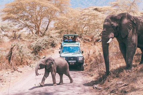 Da Zanzibar: 2 notti e 1 giorno nel PARCO NAZIONALE DI MIKUMI (3 giorni)