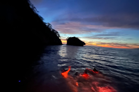 Puerto Vallarta: Bioluminescencja w Parku Morskim Los Arcos