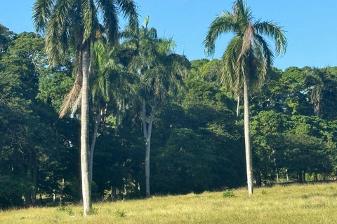 Puerto Plata: Real Estate Exploration Tour