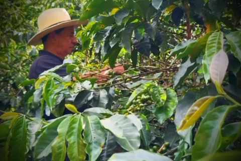 Medellin: Guatape & The Coffee Route