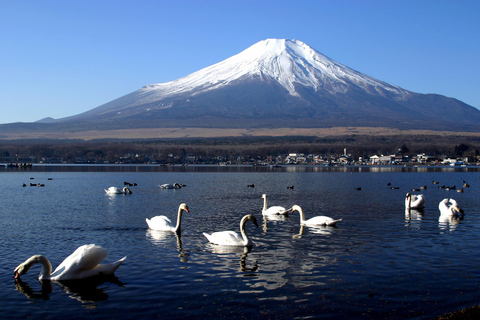 Von Tokio: Fuji-Gebiet - FujiQ - Kawaguchiko-See - Chureito-Pagode