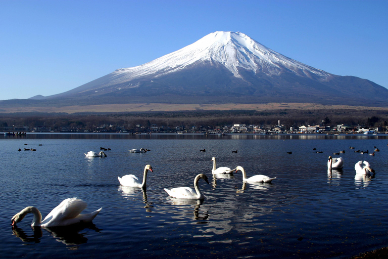 Von Tokio: Fuji-Gebiet - FujiQ - Kawaguchiko-See - Chureito-Pagode