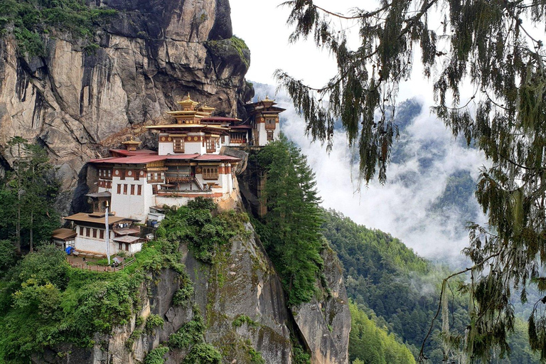 Bhutan: 7-Day Private Tour with Tiger’s Nest & Hot Bath