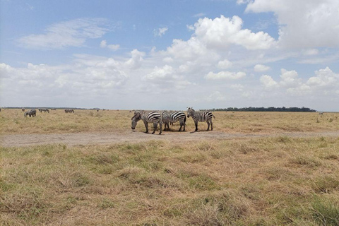 Nairobi: Amboseli National Park Day Trip with Lunch Luxury Landcruiser Option