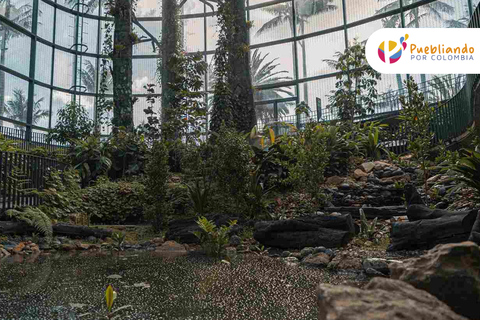 Explore the Magic of the Botanical Garden - Bogotá