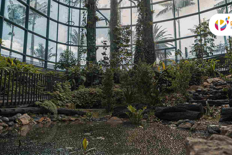 Explore the Magic of the Botanical Garden - Bogotá