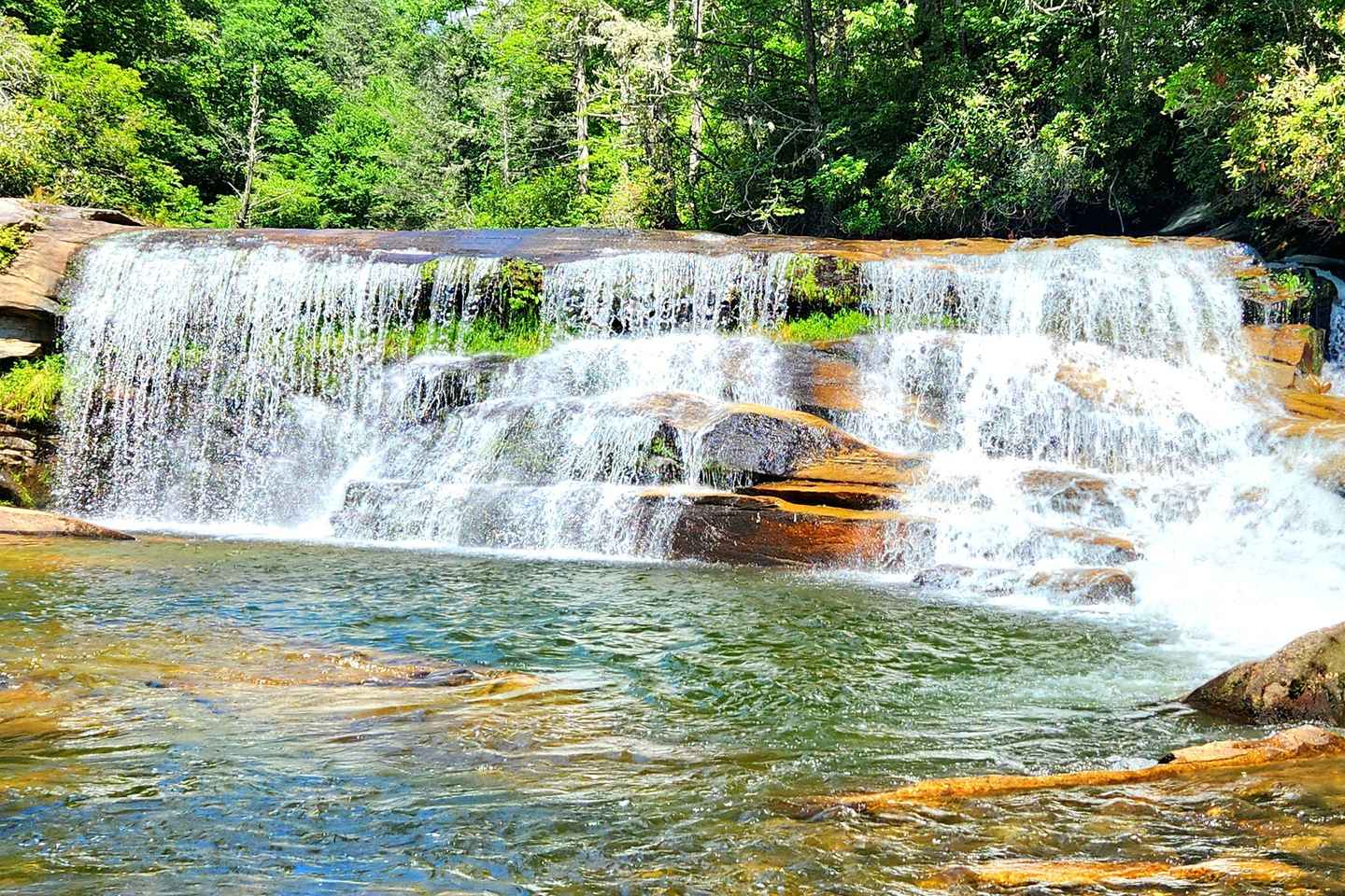 Asheville: Hidden Gems Tour in The Blue Ridge Mountains thumbnail