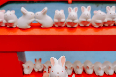 Quioto: tour familiar particular com guia, natureza e culturaKyoto: Tour particular para famílias com natureza e cultura