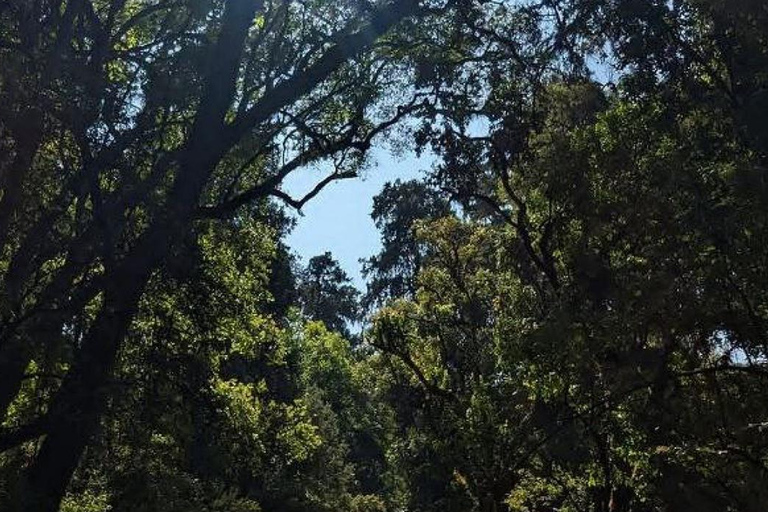 Tagestour im Suba-Park – Alte Wälder, Wildtiere &amp; NaturwanderungenTagestour im Suba Park – Alte Waldtiere &amp; Naturwanderungen