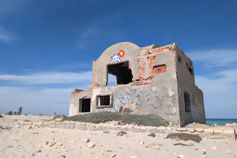 Djerba: Ride to the Pink Flamingo Peninsula by Electric Bike