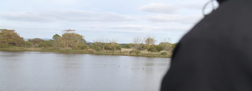 Faro : Observation des oiseaux à Ria Formosa
