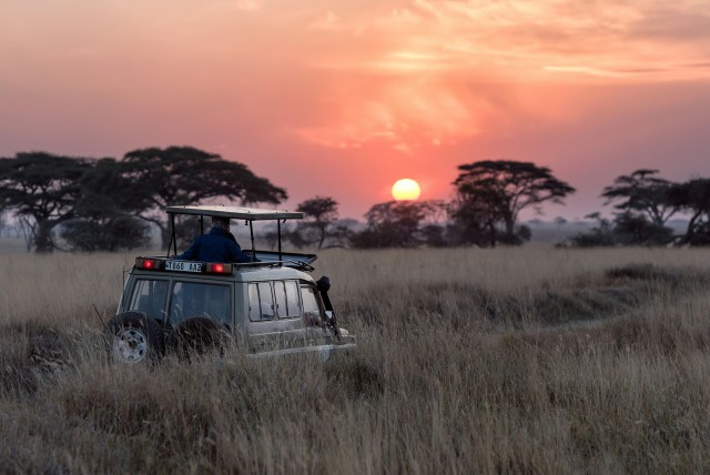 Visit 4-Day Tanzania Safari to Ngorongoro, Serengeti & … in Arusha, Tanzania