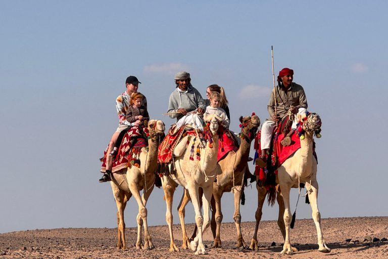 Hurghada: Camel Ride & horse ride and Off-Road Jeep Tour pickup from hotels inside hurghada